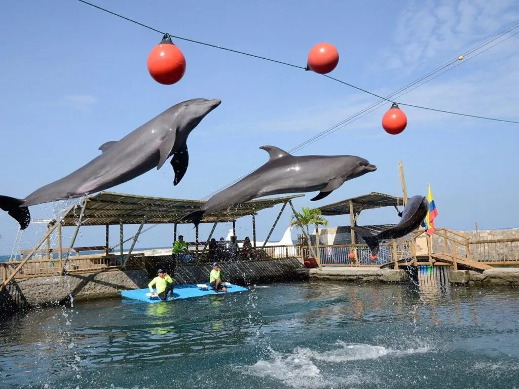 Tour Playa Blanca y Acuario en Santa Marta