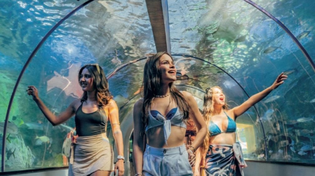 Playa Blanca + Acuario